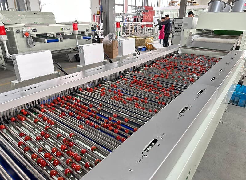 images/1703491764108cherry tomato adjustable sorter.jpg